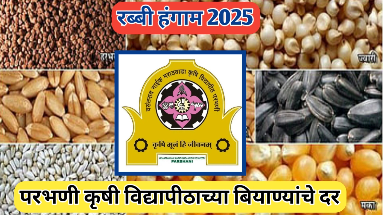 परभणी विद्यापीठाचे रब्बी बियाण्यांचे दर: 17 सप्टेंबर पासून विक्री सुरू होणार