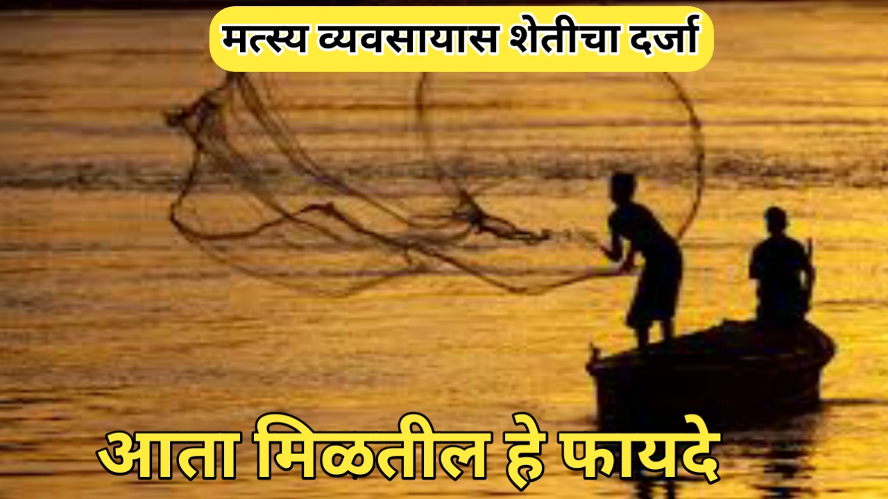 आनंदाची बातमी! मत्स्य व्यवसायास कृषी समकक्ष दर्जा मिळाला