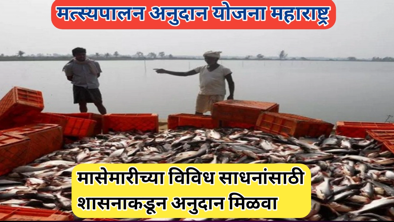 मासेमारीच्या साधनांसाठी अनुदान योजना; मिळवा 50 टक्के पर्यंत अनुदान