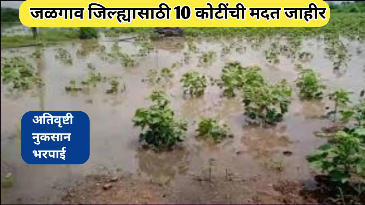 जळगाव जिल्ह्यासाठी 10 कोटींची नुकसानभरपाई: शेतकऱ्यांच्या आशेचा किरण