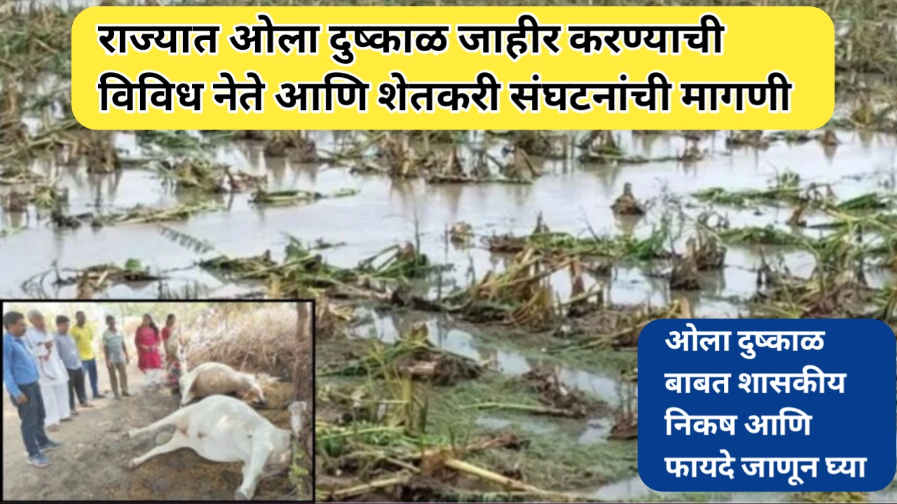 राज्यात ओला दुष्काळ जाहीर करण्याची सर्वांकडून सरकारकडे मागणी