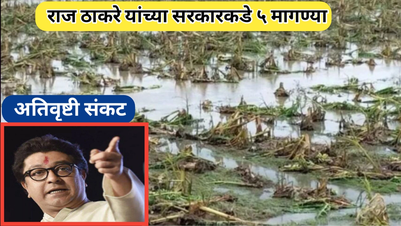 राज ठाकरे यांच्या सरकारकडे ५ मागण्या: शेतकऱ्यांच्या संकटावरील उपाययोजना