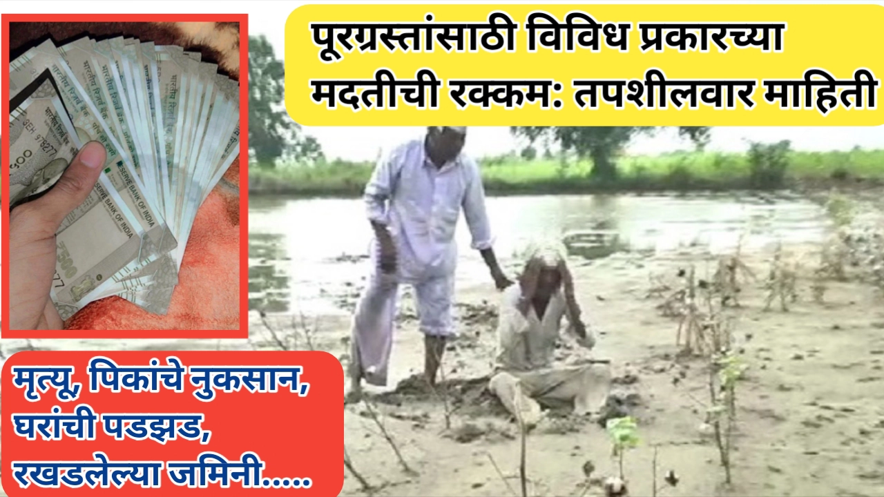 पूरग्रस्तांसाठी विविध प्रकारच्या मदतीची रक्कम; तपशीलवार माहिती
