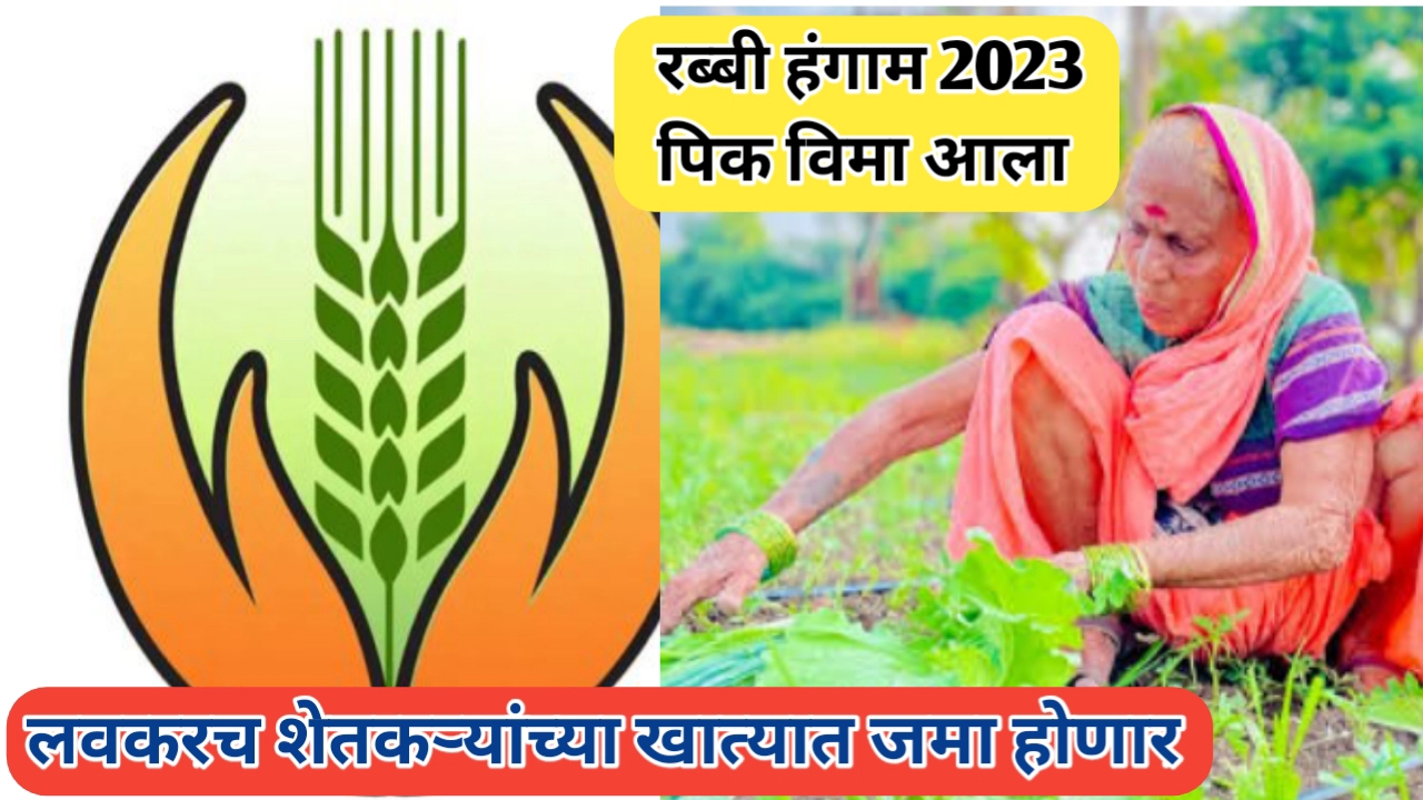 रब्बी हंगाम 2023 पिक विमा मंजूर; लवकरच खात्यात जमा होणार