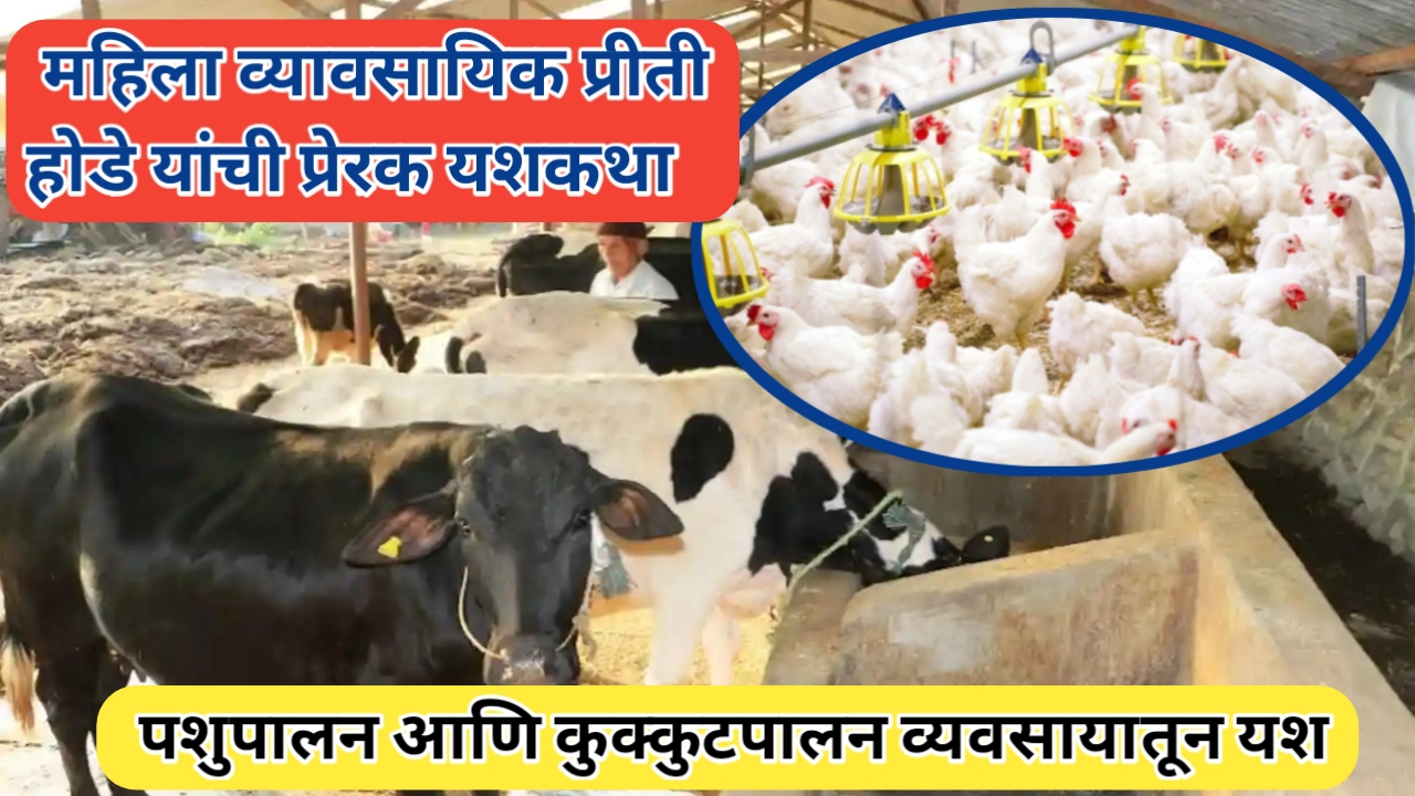 पशुपालन आणि कुक्कुटपालन व्यवसायातून प्रीति होडे आत्मनिर्भर
