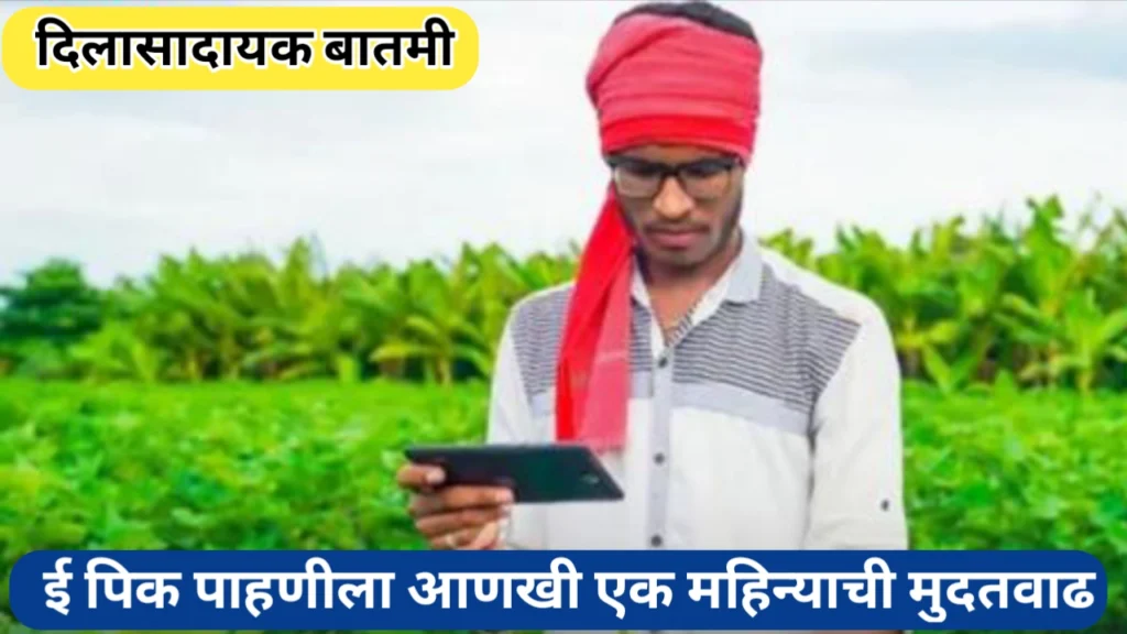 शेतकऱ्यांसाठी दिलासादायक बातमी; पिक पाहणीसाठी 31 ऑक्टोबर पर्यंत मुदतवाढ