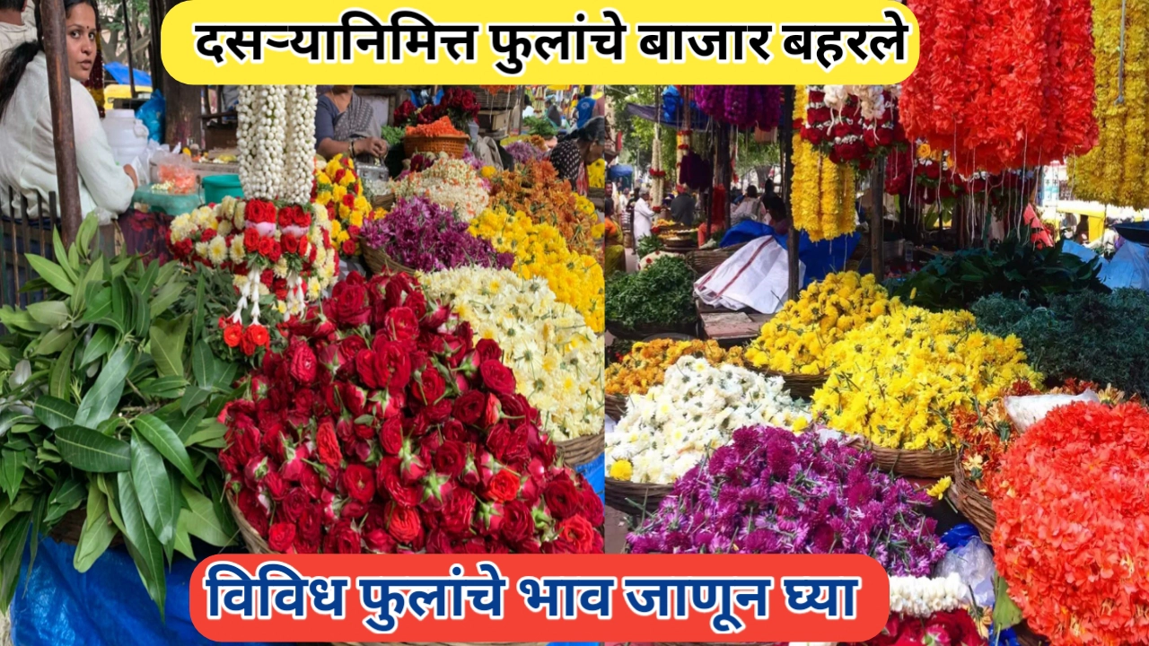 दसरा-दिवाळी सणासाठी फुल बाजार बहरले; दर तेजीत