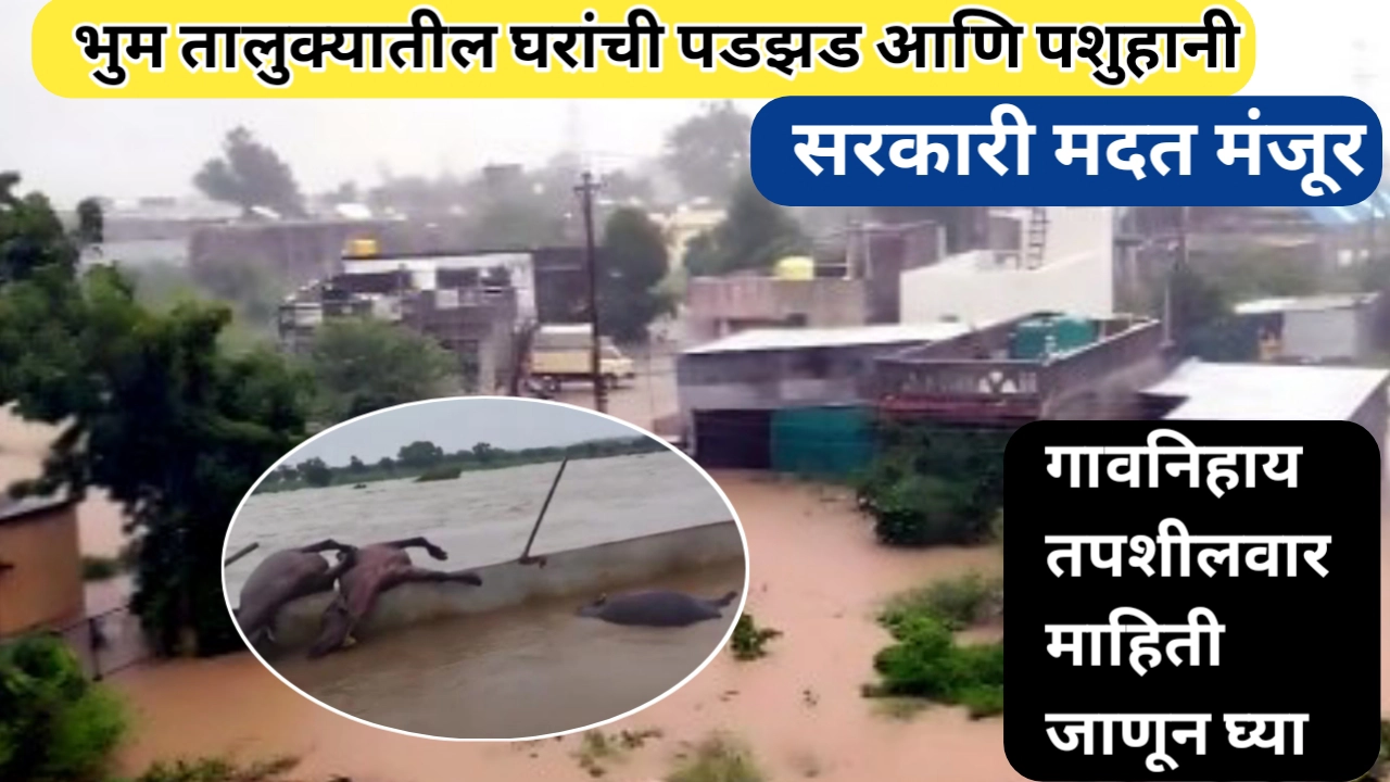 घरांची पडझड आणि पशुहानीसाठी भुम तालुका अतिवृष्टी मदत मंजूर