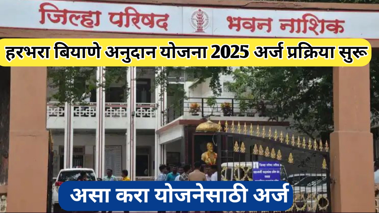 नाशिक झेडपी हरभरा बियाणे अनुदान योजना 2025; असा करा योजनेसाठी अर्ज