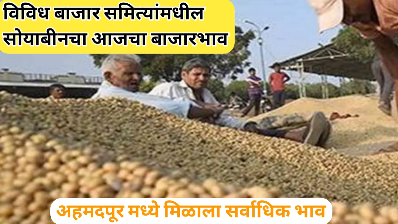 विविध बाजार समित्यांमध्ये सोयाबीनचा आजचा बाजारभाव जाणून घ्या