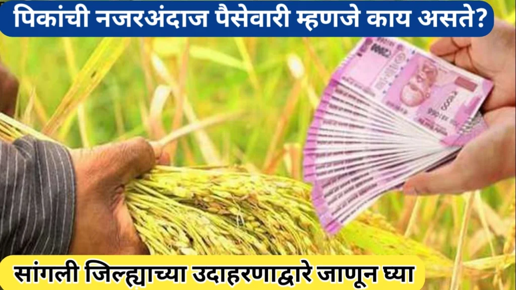 पिकांची नजरअंदाज पैसेवारी म्हणजे काय असते? सोप्या भाषेत जाणून घ्या