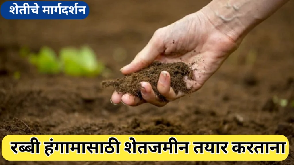 अतिवृष्टीनंतर रब्बी हंगामासाठी शेतीची पूर्वमशागत आणि इतर महत्वाची माहिती