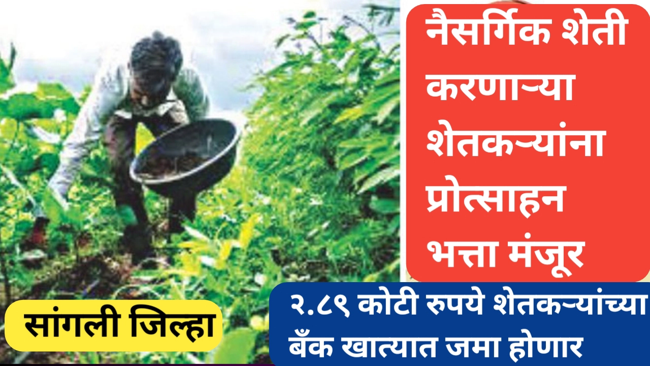 नैसर्गिक शेती करणाऱ्या शेतकऱ्यांना प्रोत्साहन भत्ता; सांगली जिल्ह्यासाठी 1.89 कोटी मंजूर
