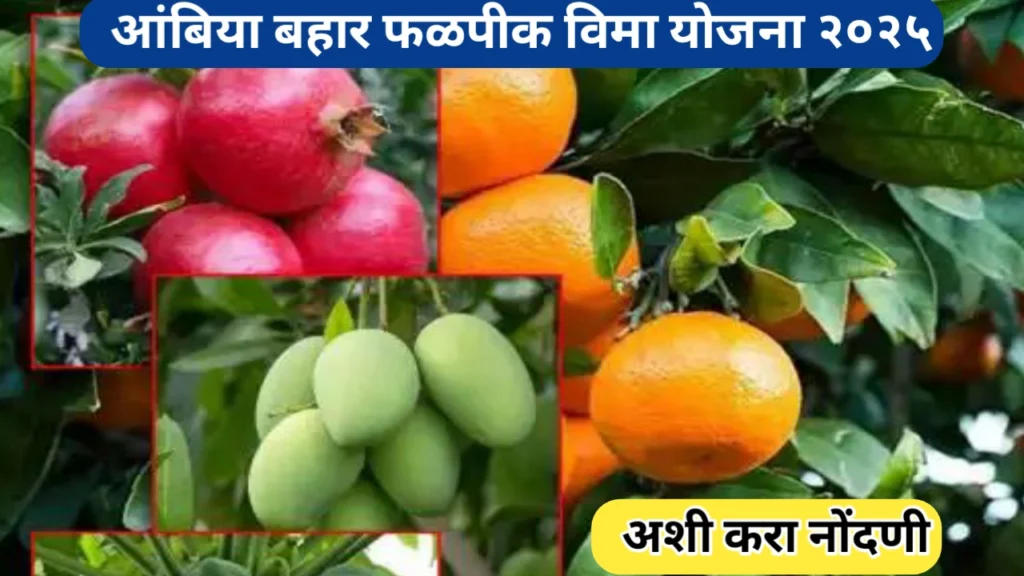 आंबिया बहार फळपीक विमा २०२५ नोंदणी प्रक्रिया