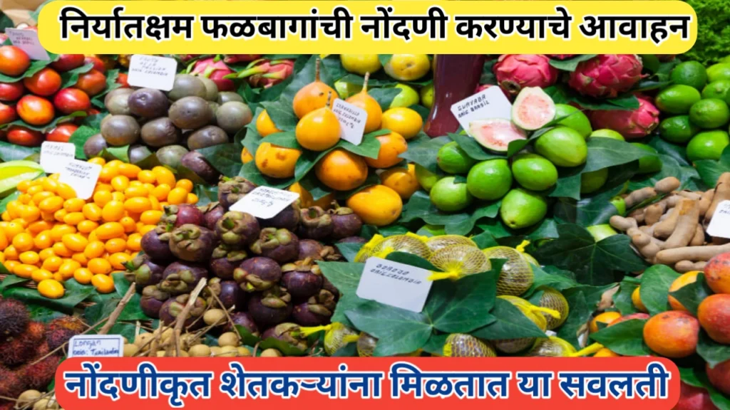 हॉर्टिनेट प्रणालीद्वारे निर्यातक्षम फळबागांची नोंदणी करण्याचे आवाहन