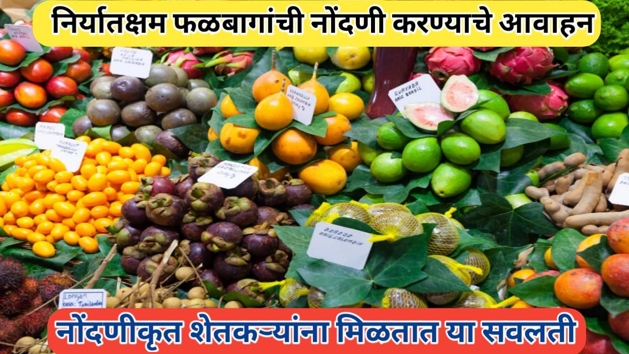 हॉर्टिनेट प्रणालीद्वारे निर्यातक्षम फळबागांची नोंदणी करण्याचे आवाहन