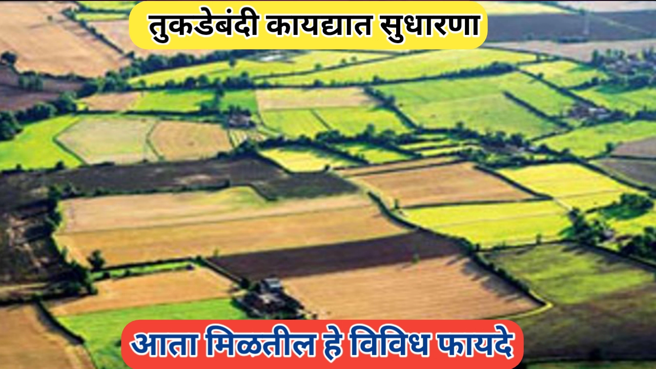 तुकडेबंदी कायद्यात सुधारणा: सामान्य माणसाच्या मालकीहक्काचा मार्ग मोकळा