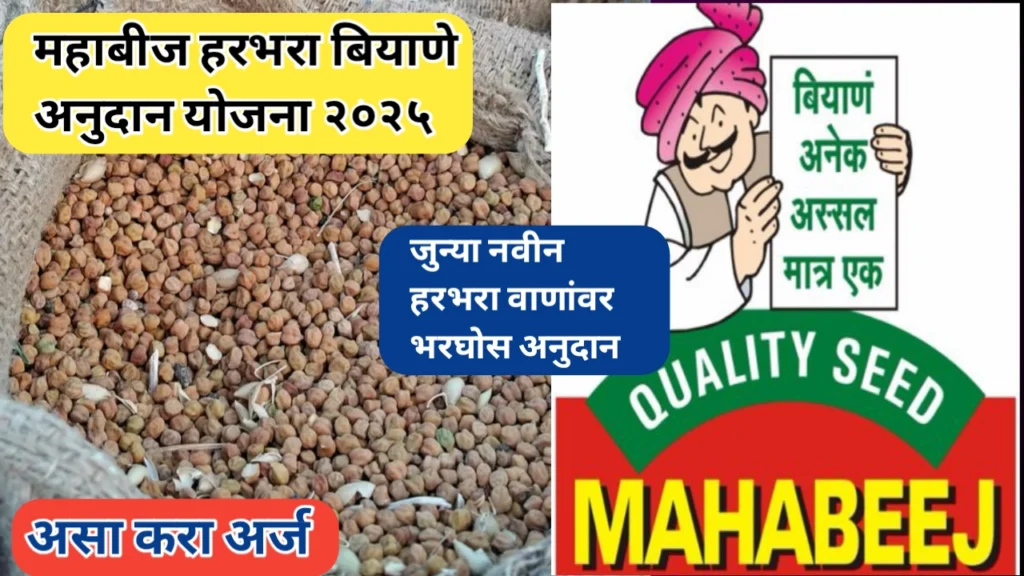 महाबीजचे हरभरा बियाणे अनुदान योजना; जुन्या नवीन हरभरा बियाण्यांवर अनुदान