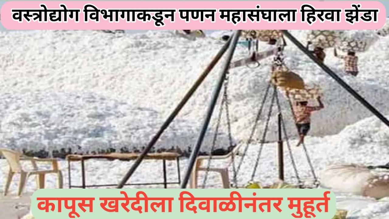 पणन महासंघातर्फे दिवाळीनंतर कापूस खरेदी सुरू