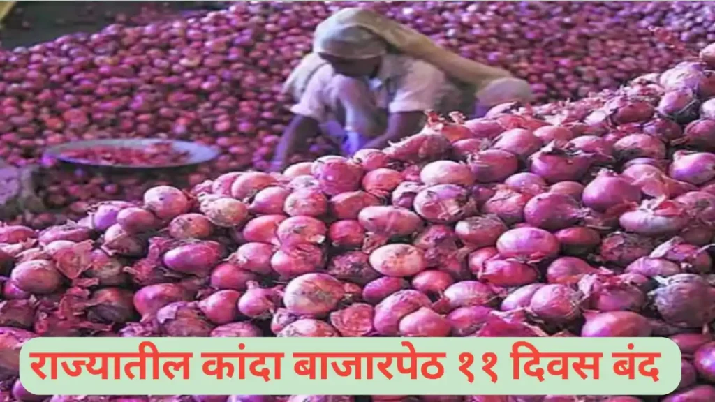 कांदा मार्केट ११ दिवस बंद राहणार; शेतकऱ्यांवर पडणार अनिष्ट प्रभाव