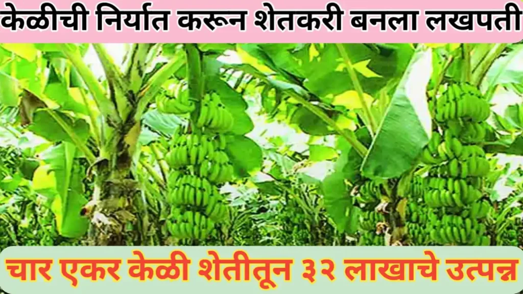 चार एकरातील केळीचे ३२ लाख रुपये उत्पन्न: एक अप्रतिम शेतकरी यशोगाथा