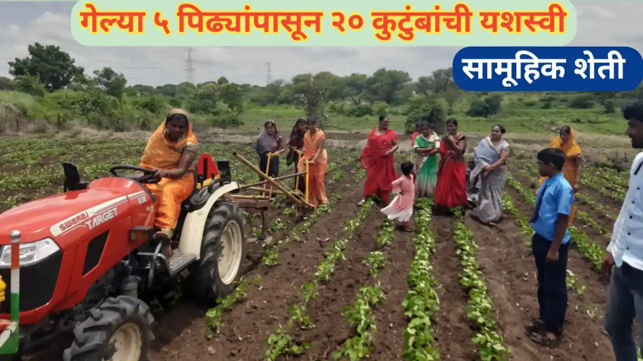 सामूहिक शेतीचे आदर्श उदाहरण; कोकणातील कुटुंबाची कहाणी