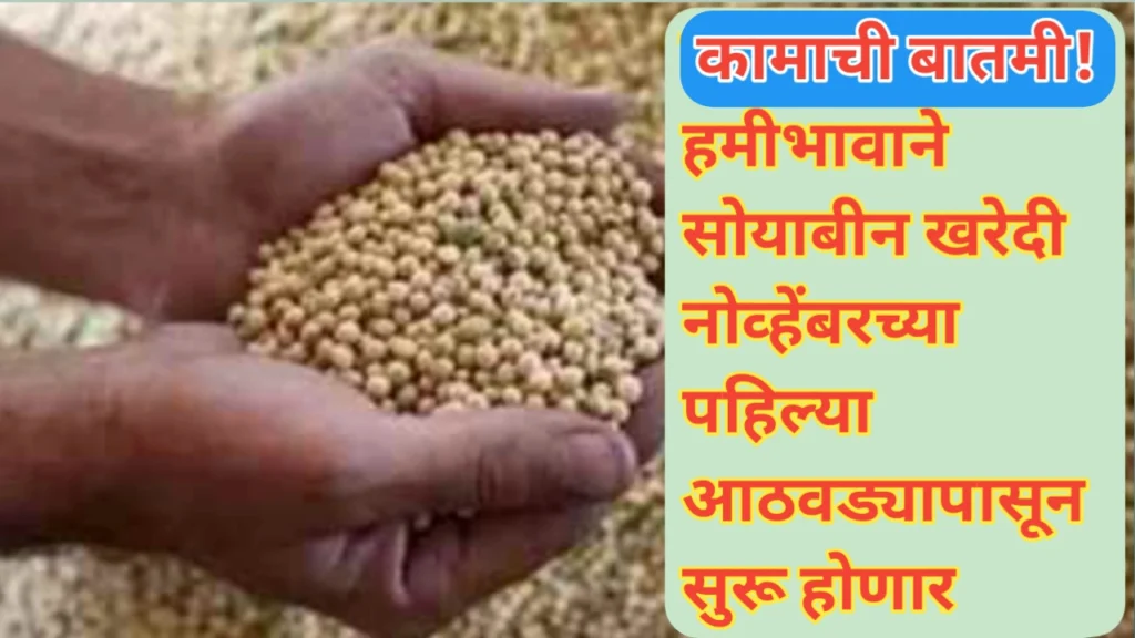 हमीभावाने सोयाबीन खरेदी नोव्हेंबरच्या पहिल्या आठवड्यापासून सुरू