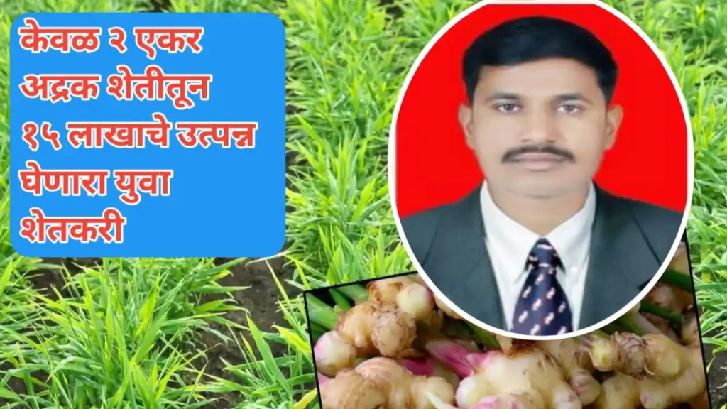 दोन एकर आल्याच्या शेतीतून १५ लाखाचे उत्पन्न घेणाऱ्या युवा शेतकऱ्याची यशकथा