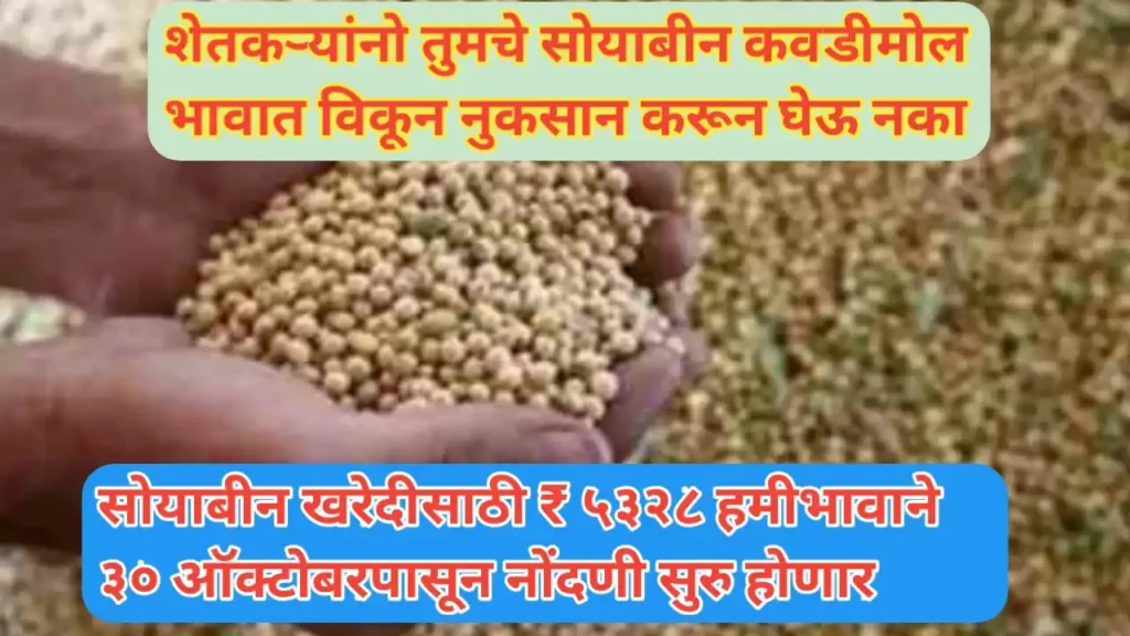 हमीभावाने सोयाबीन खरेदीची नोंदणी ३० ऑक्टोबरपासून सुरू होणार