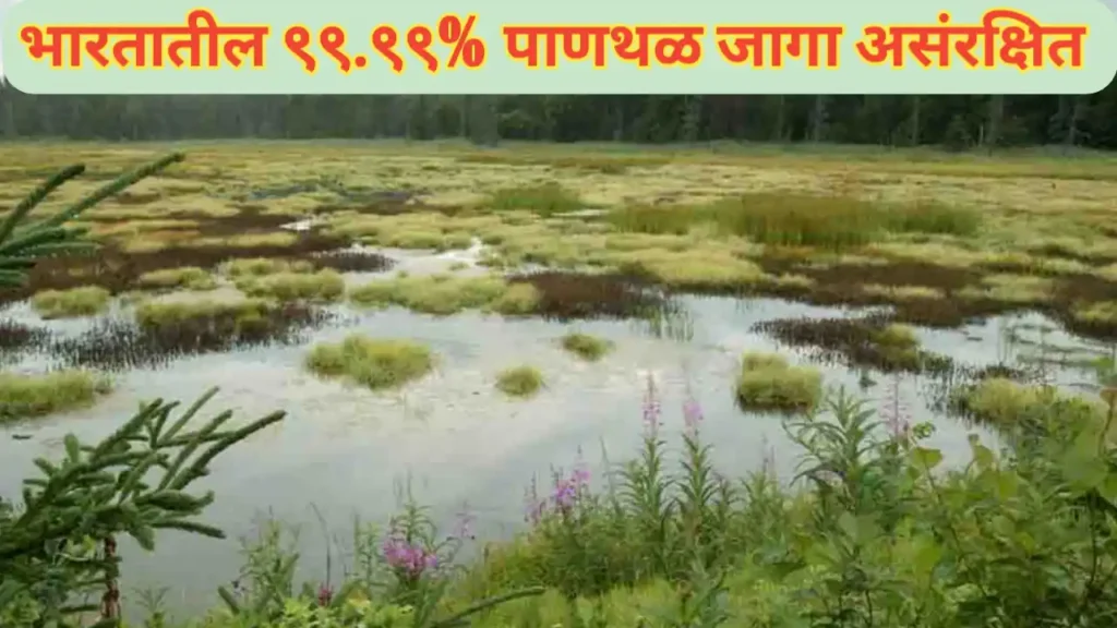 देशातील ९९.९९% पाणथळ जागा असंरक्षित; पर्यावरणवादी चिंतेत
