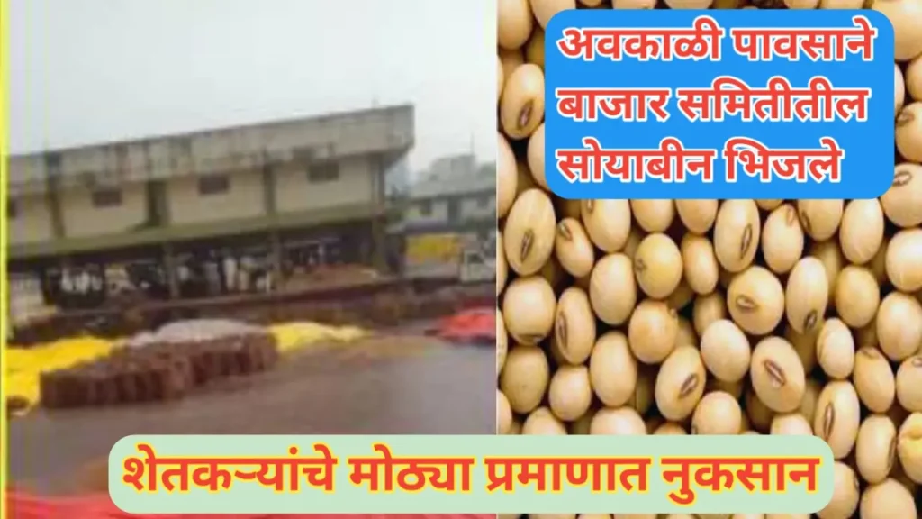 अवकाळी पावसाने बाजार समितीतील सोयाबीन भिजले