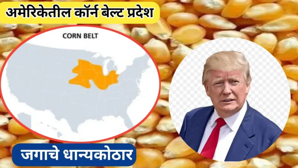 अमेरिकेतील कॉर्न बेल्ट; जागतिक मका उत्पादनाचे वर्चस्व असणारे क्षेत्र
