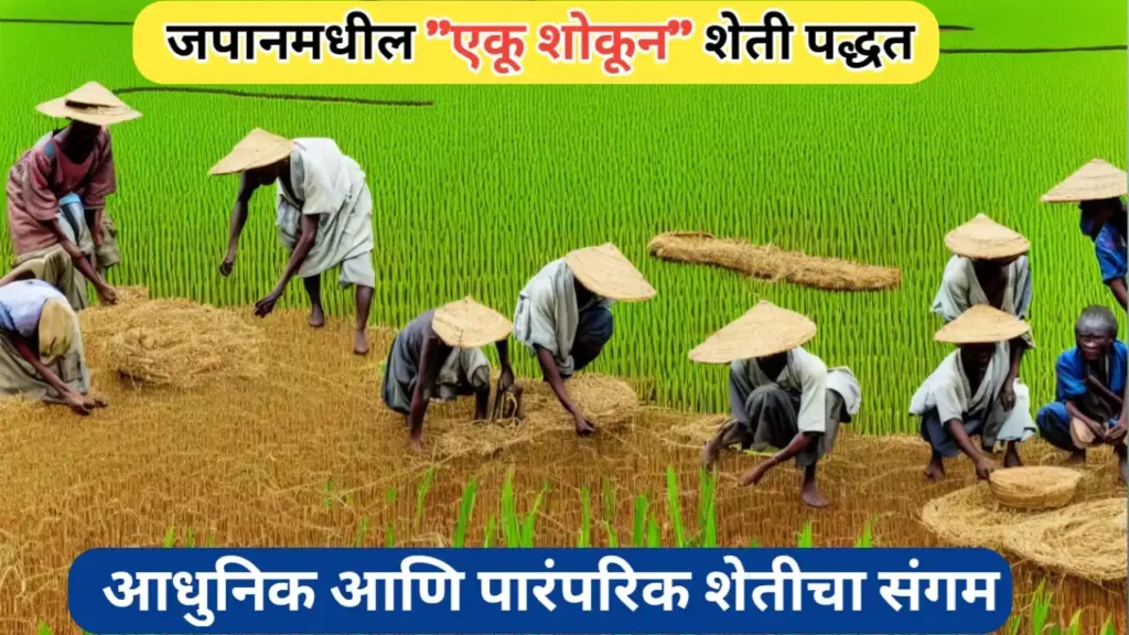 जपानमधील 'एकू शोकुन' शेती पद्धत; पारंपरिकता आणि आधुनिकतेचा समन्वय