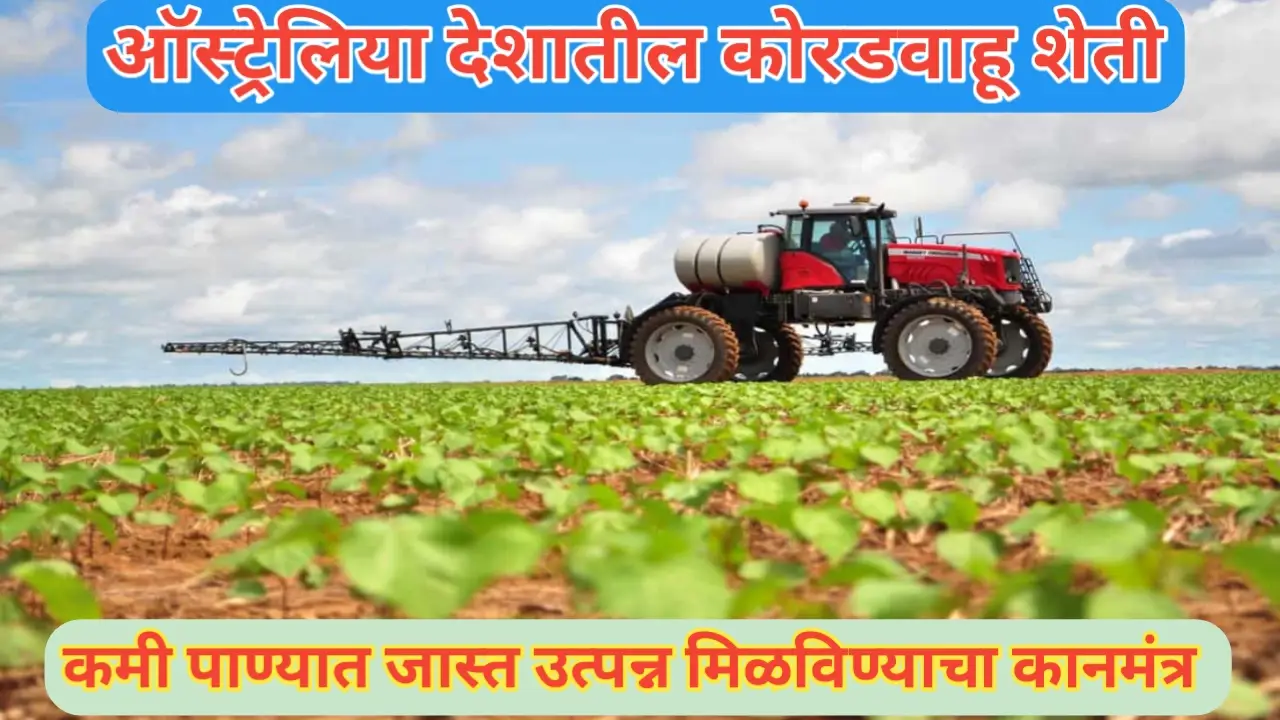 ऑस्ट्रेलियामधील ड्रॉट फार्मिंग; कमी पाण्यात जास्त उत्पन्न मिळविण्याचा कानमंत्र