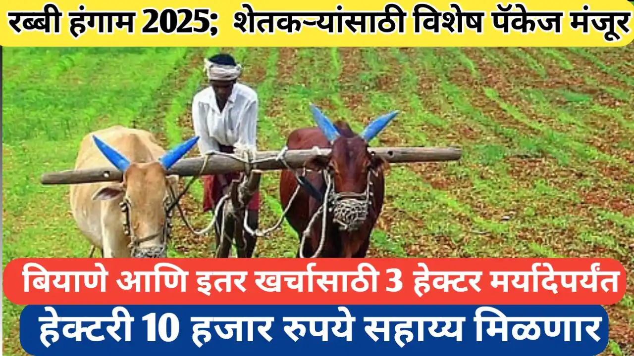रब्बी हंगामासाठी १७६५ कोटी रुपयांचे विशेष पॅकेज; अहिल्यानगर जिल्ह्यासाठी सर्वाधिक निधी