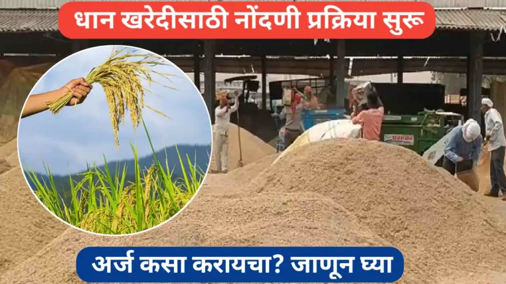 धान खरेदीसाठी ऑनलाईन नोंदणी सुरू; असा करा ऑनलाइन किंवा ऑफलाईन अर्ज
