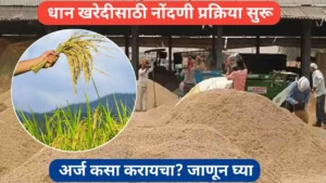 धान खरेदीसाठी ऑनलाईन नोंदणी सुरू; असा करा ऑनलाइन किंवा ऑफलाईन अर्ज