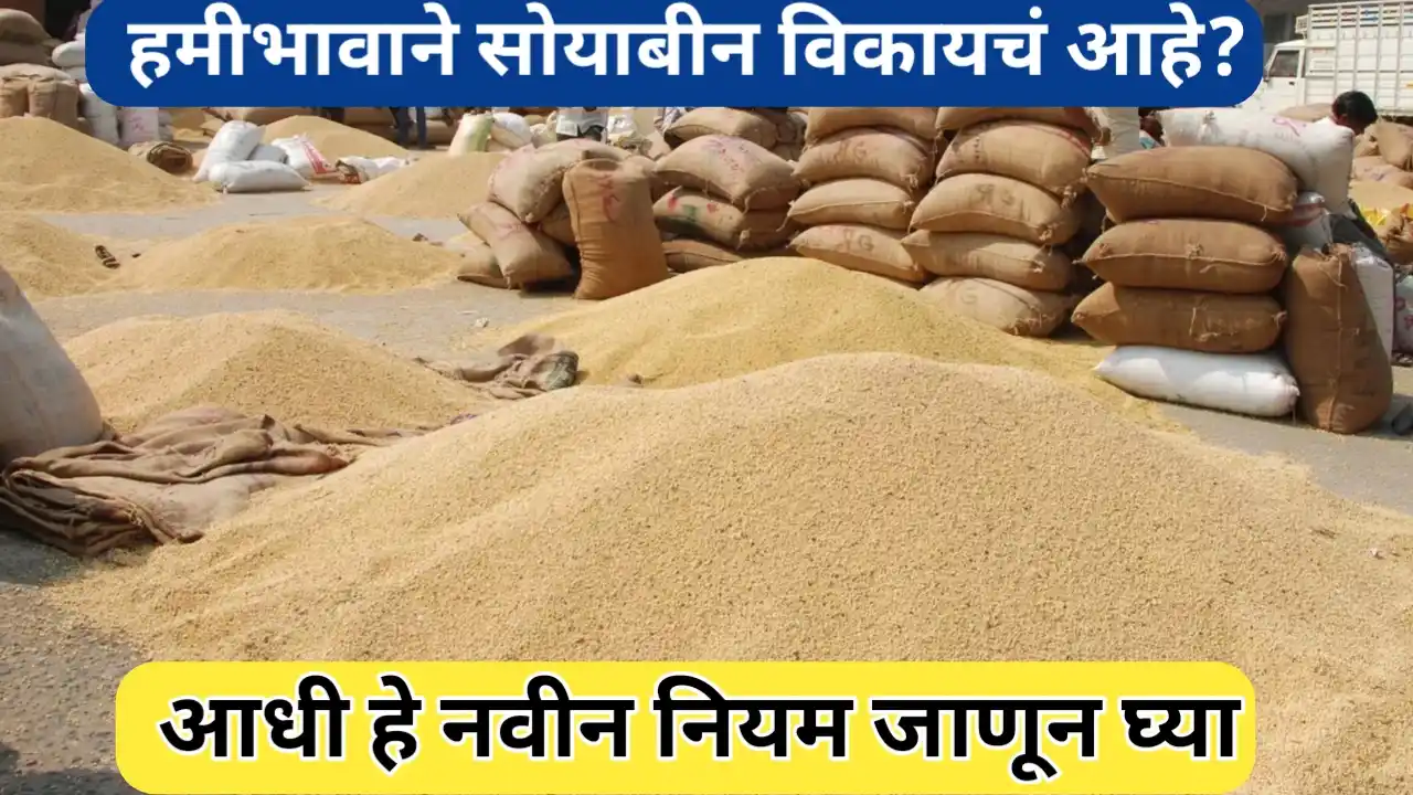 हमीभावाने सोयाबीन विकण्याबाबतचे नवीन नियम; संपुर्ण मार्गदर्शन