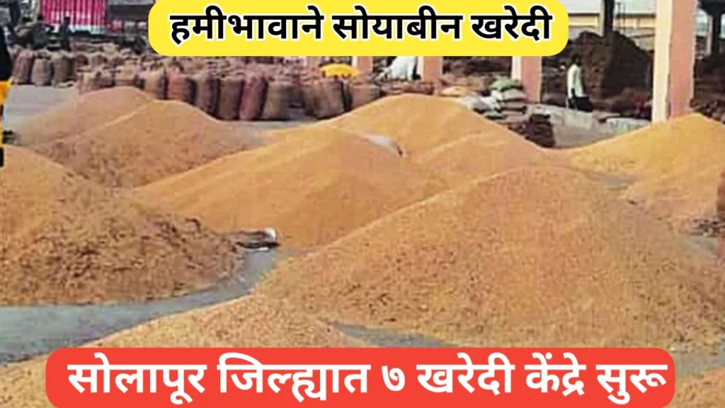 Solapur district: सोयाबीन खरेदीसाठी सोलापूर जिल्ह्यात ७ हमीकेंद्रे सुरू