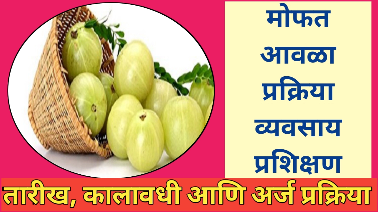 आवळा प्रक्रिया व्यवसायासाठी मोफत प्रशिक्षण; तारीख, कालावधी आणि ठिकाण