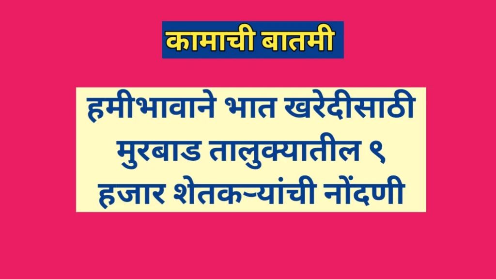 हमीभावाने भात खरेदीसाठी मुरबाड तालुक्यातील ९ हजार शेतकऱ्यांची नोंदणी