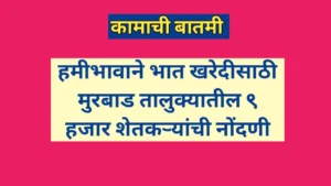 हमीभावाने भात खरेदीसाठी मुरबाड तालुक्यातील ९ हजार शेतकऱ्यांची नोंदणी