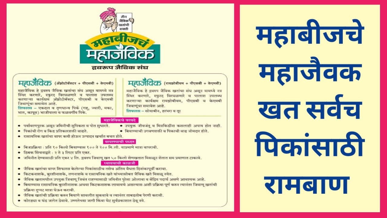 महाबीजचे महाजैवक खत वापरण्याची पद्धत आणि खताचे फायदे