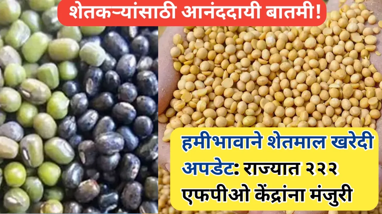 FPO Procurement: राज्यात २२२ एफपीओ खरेदी केंद्रांना मान्यता - एक कल्याणकारी निर्णय