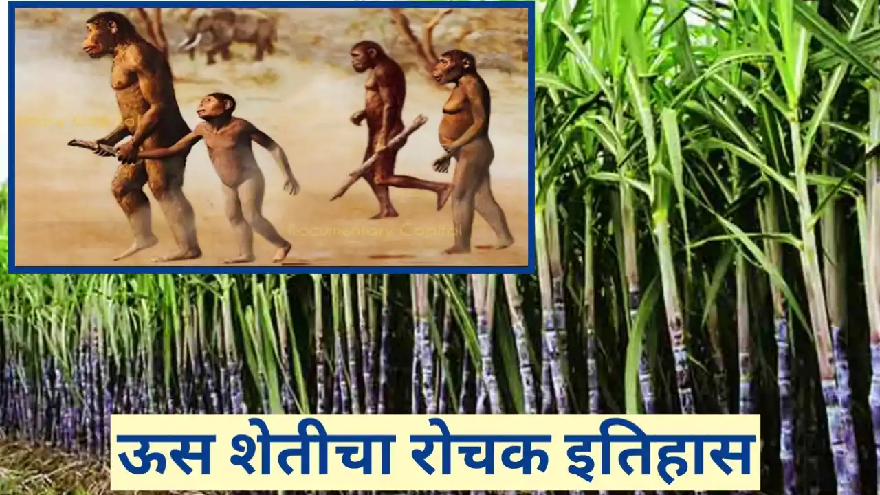 ऊस शेतीमधील ऐतिहासिक संदर्भ