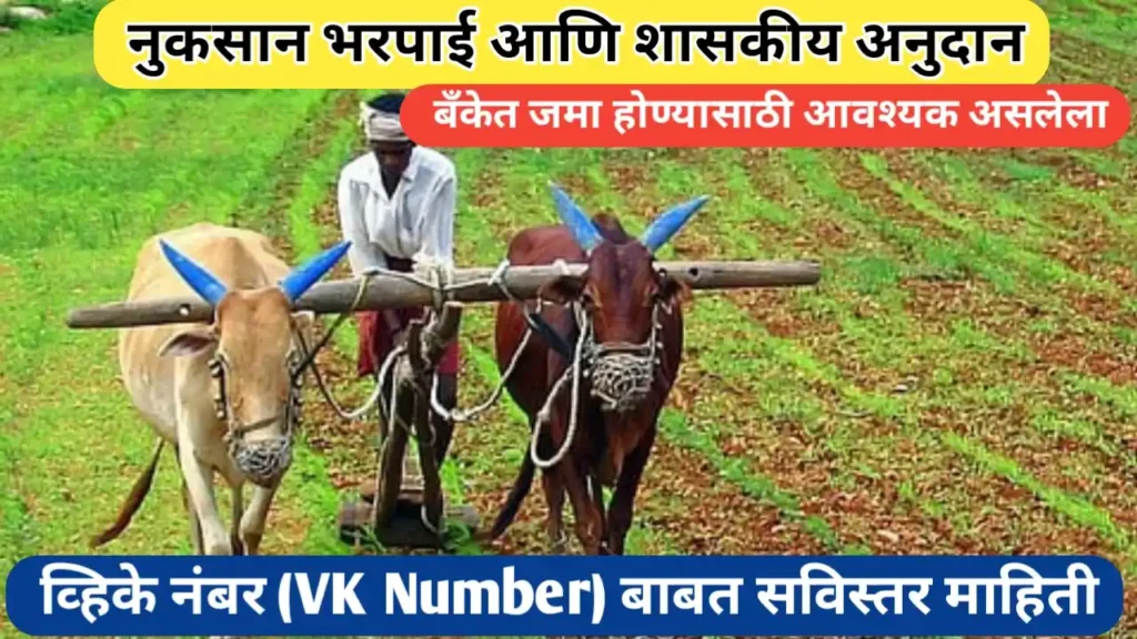 नुकसान भरपाई जमा होण्यासाठी लागणारा व्हिके नंबर (VK Number) काय आहे? जाणून घ्या