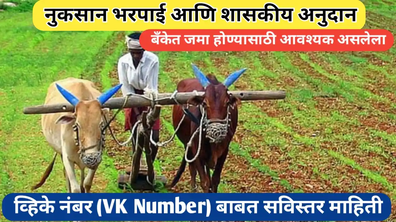 नुकसान भरपाई जमा होण्यासाठी लागणारा व्हिके नंबर (VK Number) काय आहे? जाणून घ्या
