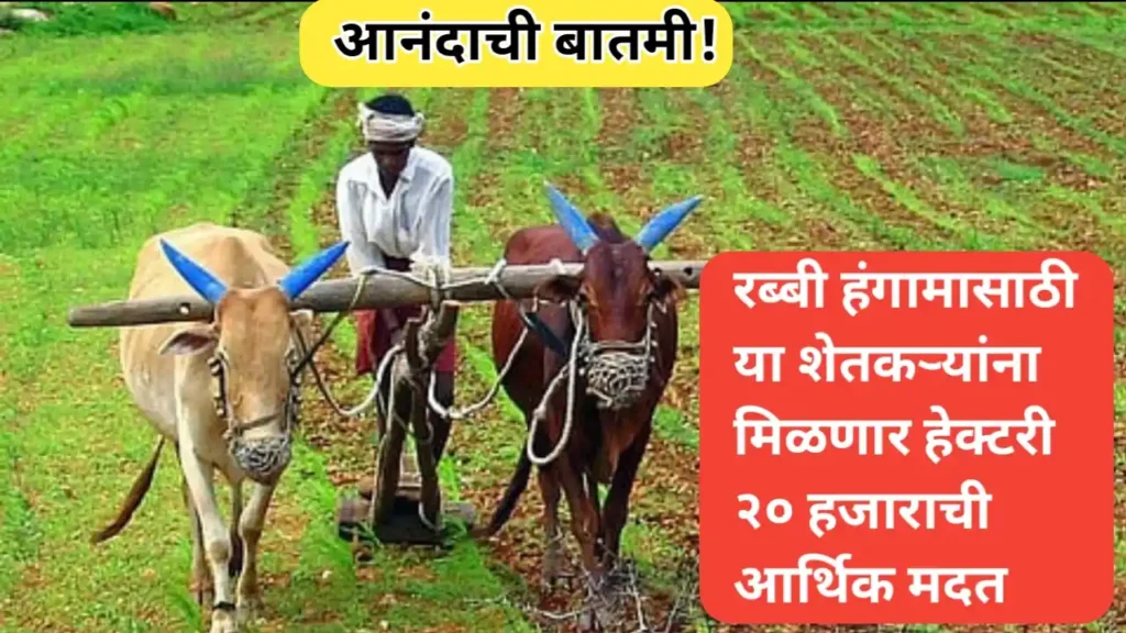 शेतकऱ्यांना हेक्टरी २० हजाराचे आर्थिक सहाय्य; सोलापूर जिल्ह्यातील शेतकऱ्यांना रब्बीसाठी मदत