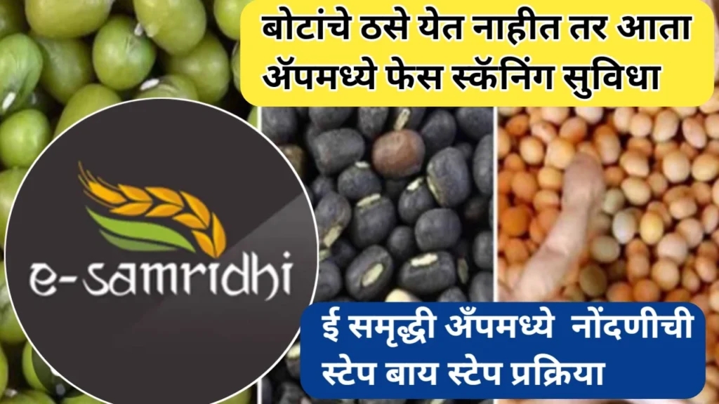 ई समृद्धी ॲप ऑनलाईन नोंदणी प्रक्रिया आणि हमीभाव बाबत इतर लेटेस्ट अपडेट्स