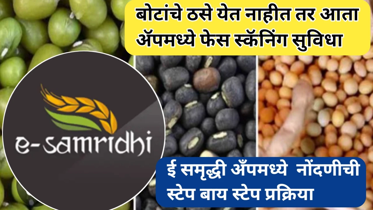 ई समृद्धी ॲप ऑनलाईन नोंदणी प्रक्रिया आणि हमीभाव बाबत इतर लेटेस्ट अपडेट्स